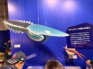 特別展「大絶滅展―生命史のビッグファイブ」に投稿された画像（2026/2/22）