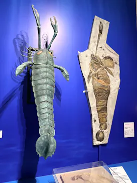 特別展「大絶滅展―生命史のビッグファイブ」に投稿された画像（2026/2/22）