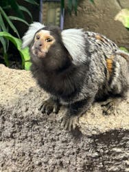 那須どうぶつ王国に投稿された画像（2026/2/22）