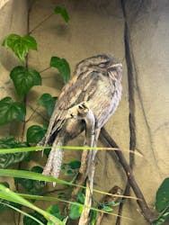 那須どうぶつ王国に投稿された画像（2026/2/22）