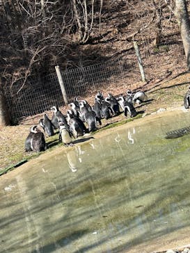 那須どうぶつ王国に投稿された画像（2026/2/22）