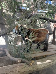 那須どうぶつ王国に投稿された画像（2026/2/22）