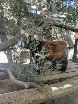 那須どうぶつ王国に投稿された画像（2026/2/22）