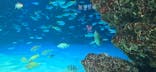 サンシャイン水族館に投稿された画像（2026/2/22）