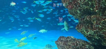 サンシャイン水族館に投稿された画像（2026/2/22）