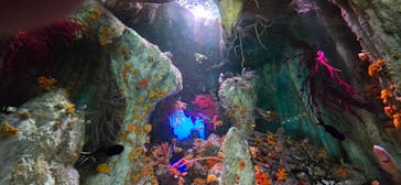 サンシャイン水族館に投稿された画像（2026/2/22）