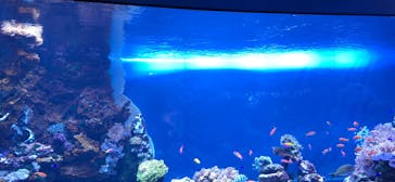 サンシャイン水族館に投稿された画像（2026/2/22）