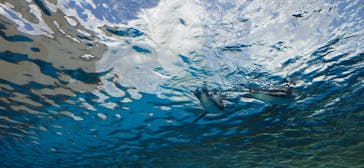 サンシャイン水族館に投稿された画像（2026/2/22）