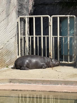 名古屋市東山動植物園に投稿された画像（2026/2/22）