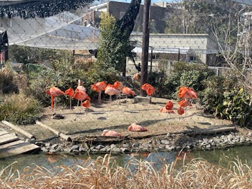 名古屋市東山動植物園に投稿された画像（2026/2/22）