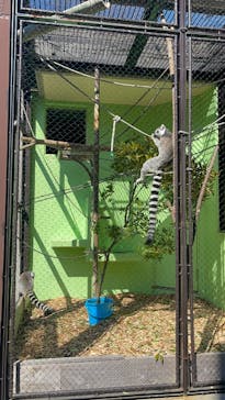 名古屋市東山動植物園に投稿された画像（2026/2/22）