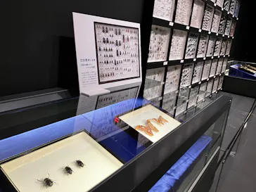 沖縄県立博物館・美術館〔おきみゅー〕に投稿された画像（2026/2/22）