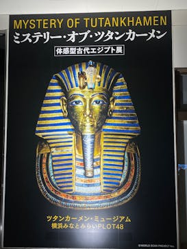MYSTERY OF TUTANKHAMEN 体感型古代エジプト展に投稿された画像（2026/2/22）