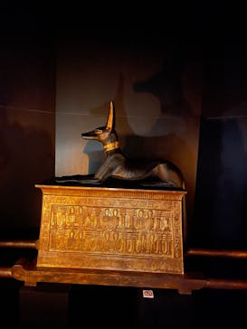 MYSTERY OF TUTANKHAMEN 体感型古代エジプト展に投稿された画像（2026/2/22）