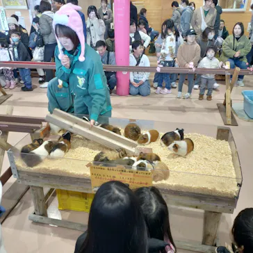 秋田市大森山動物園に投稿された画像（2026/2/22）