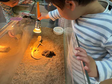 いきもの探検隊上尾に投稿された画像（2026/2/22）