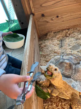 いきもの探検隊上尾に投稿された画像（2026/2/22）