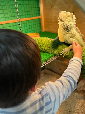 いきもの探検隊上尾に投稿された画像（2026/2/22）