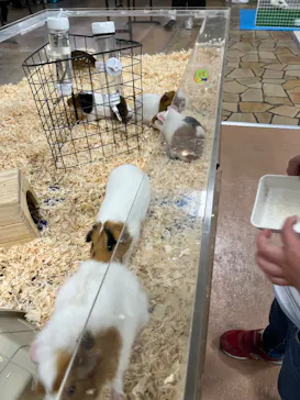 いきもの探検隊上尾に投稿された画像（2026/2/22）