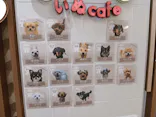 いぬカフェRio 鎌倉小町通り店に投稿された画像（2026/2/22）