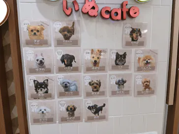 いぬカフェRio 鎌倉小町通り店に投稿された画像（2026/2/22）