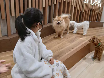 いぬカフェRio 鎌倉小町通り店に投稿された画像（2026/2/22）