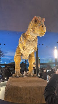 福井県立恐竜博物館に投稿された画像（2026/2/22）