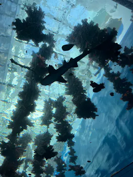 仙台うみの杜水族館に投稿された画像（2026/2/22）