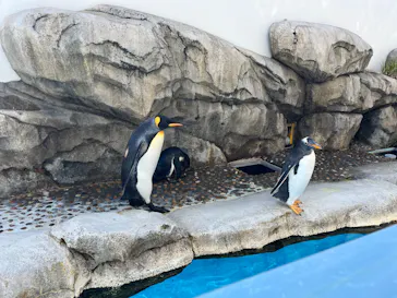 仙台うみの杜水族館に投稿された画像（2026/2/22）