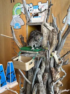 仙台うみの杜水族館に投稿された画像（2026/2/22）