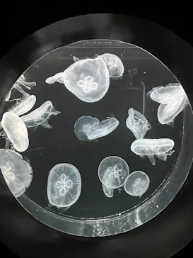 仙台うみの杜水族館に投稿された画像（2026/2/22）