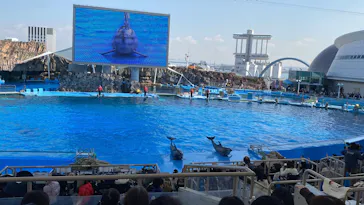 名古屋港水族館に投稿された画像（2026/2/22）