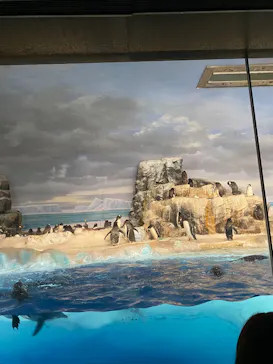 名古屋港水族館に投稿された画像（2026/2/22）