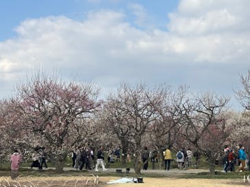 偕楽園本園に投稿された画像（2026/2/22）