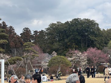 偕楽園本園に投稿された画像（2026/2/22）