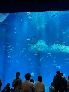 アクアワールド茨城県大洗水族館に投稿された画像（2026/2/22）