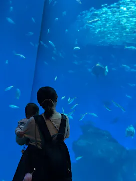 アクアワールド茨城県大洗水族館に投稿された画像（2026/2/22）