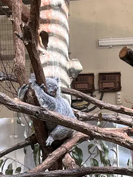 多摩動物公園に投稿された画像（2026/2/22）