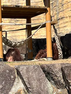 多摩動物公園に投稿された画像（2026/2/22）