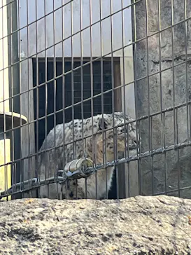 多摩動物公園に投稿された画像（2026/2/22）