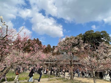 偕楽園本園に投稿された画像（2026/2/22）