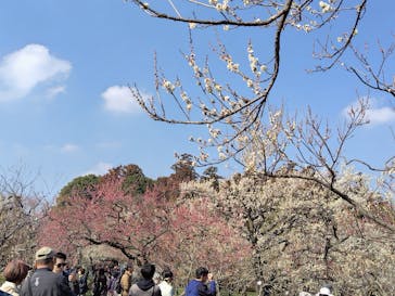 偕楽園本園に投稿された画像（2026/2/22）