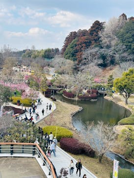 偕楽園本園に投稿された画像（2026/2/22）
