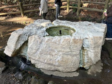 偕楽園本園に投稿された画像（2026/2/22）