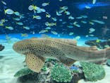 サンシャイン水族館に投稿された画像（2026/2/22）