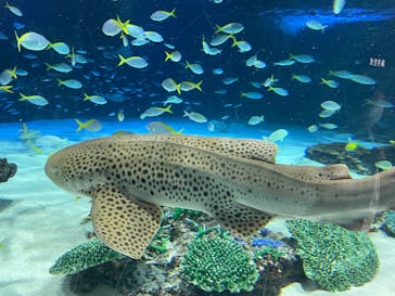 サンシャイン水族館に投稿された画像（2026/2/22）