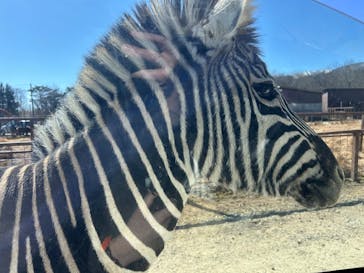 東北サファリパークに投稿された画像（2026/2/22）
