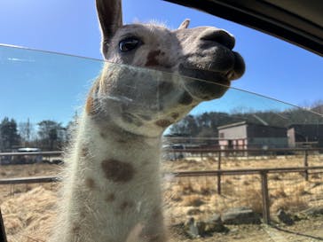 東北サファリパークに投稿された画像（2026/2/22）