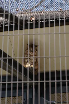 井の頭自然文化園に投稿された画像（2026/2/22）