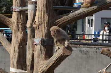 井の頭自然文化園に投稿された画像（2026/2/22）